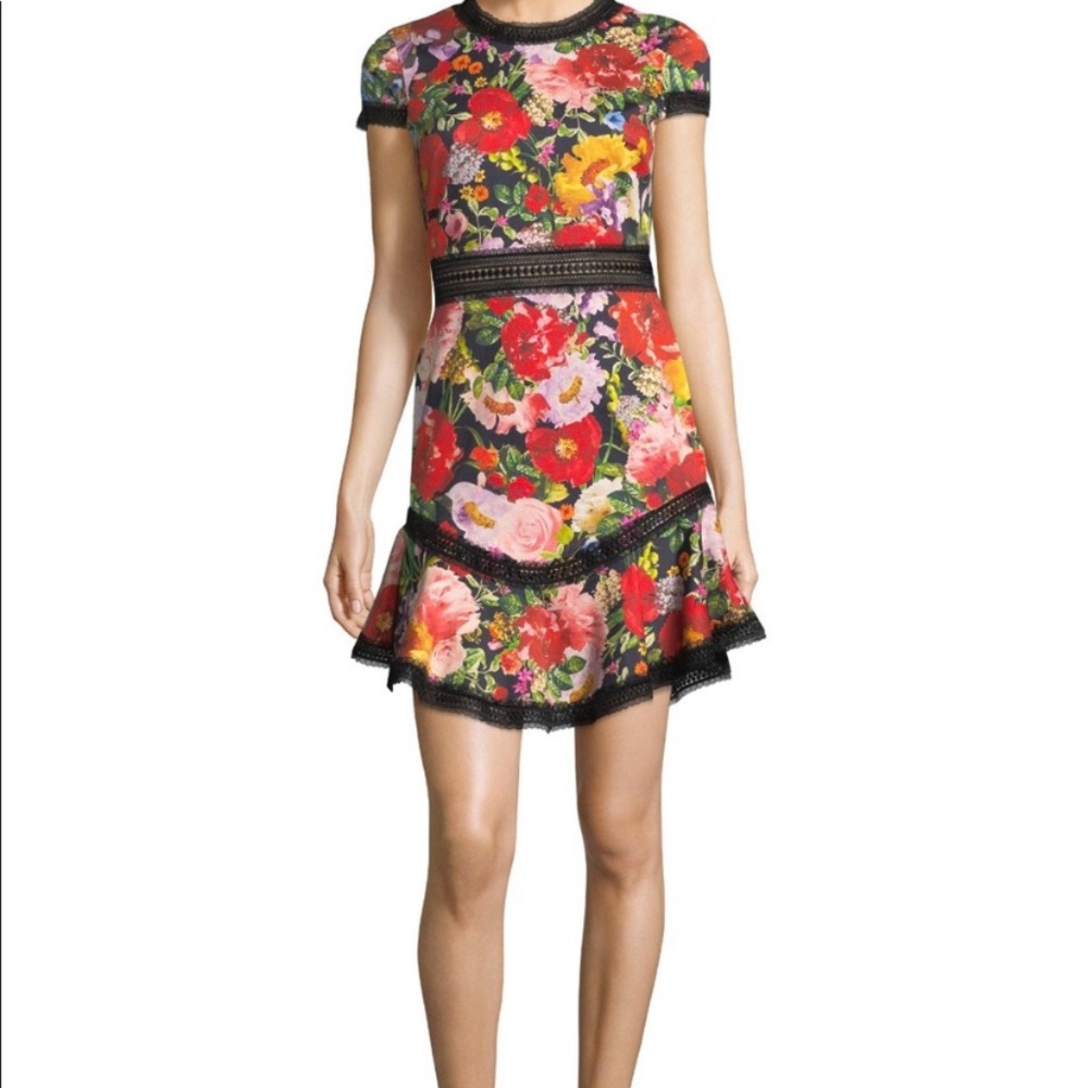 Alice + Olivia Rapunzel curved hem floral dress